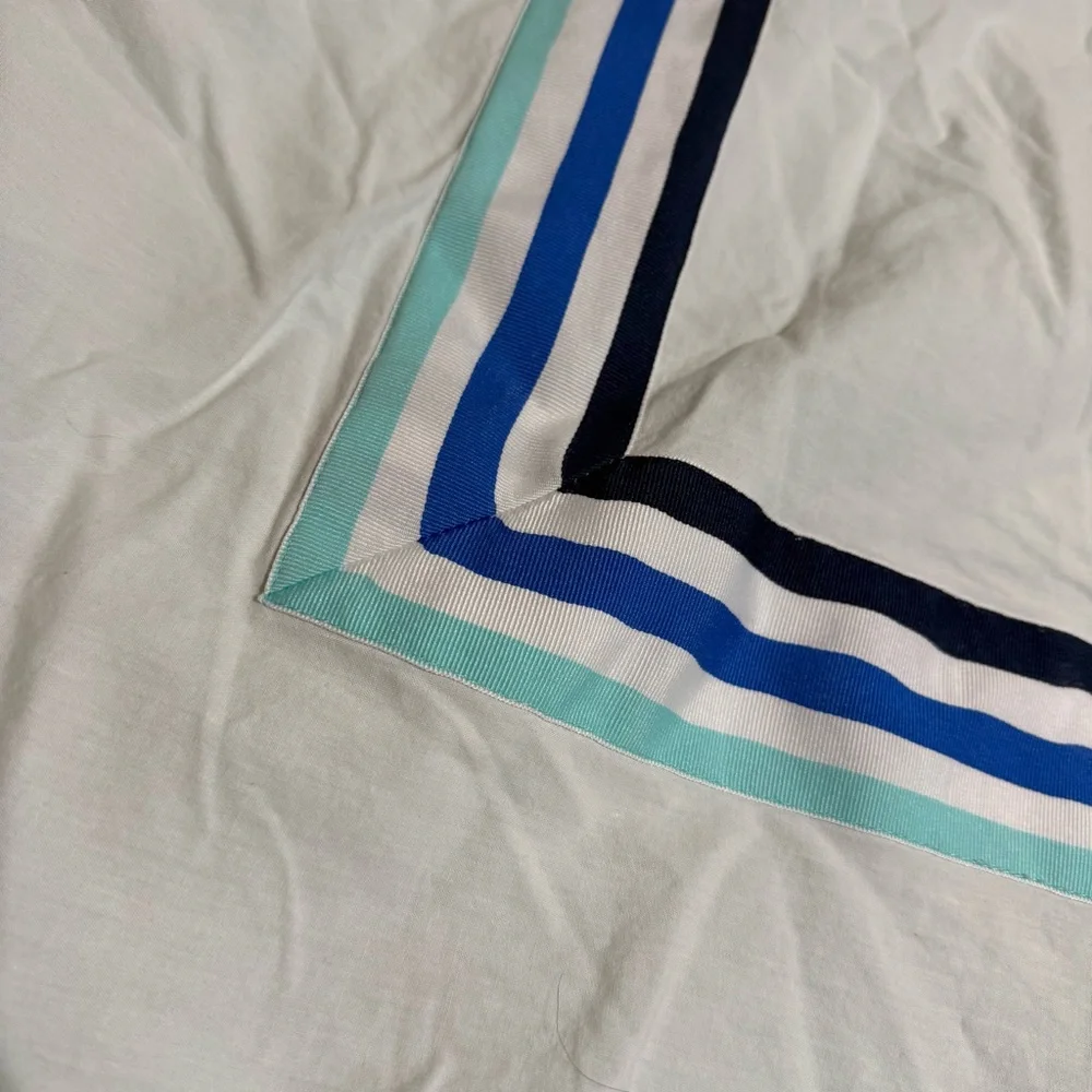 Pottery Barn Teen Ribbon blue stripe euro shams